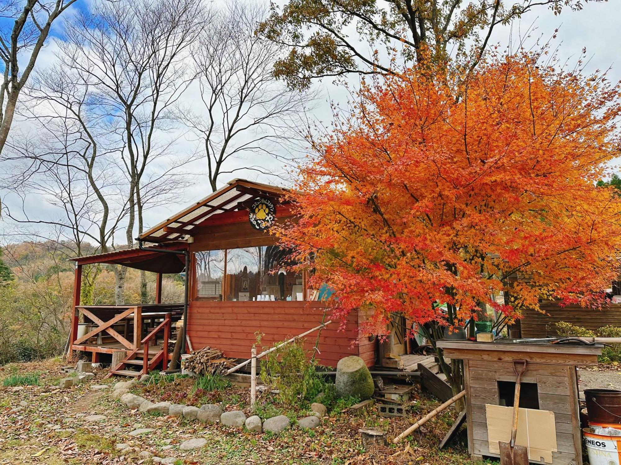 Guesthouse Kurihai 大分 外观 照片